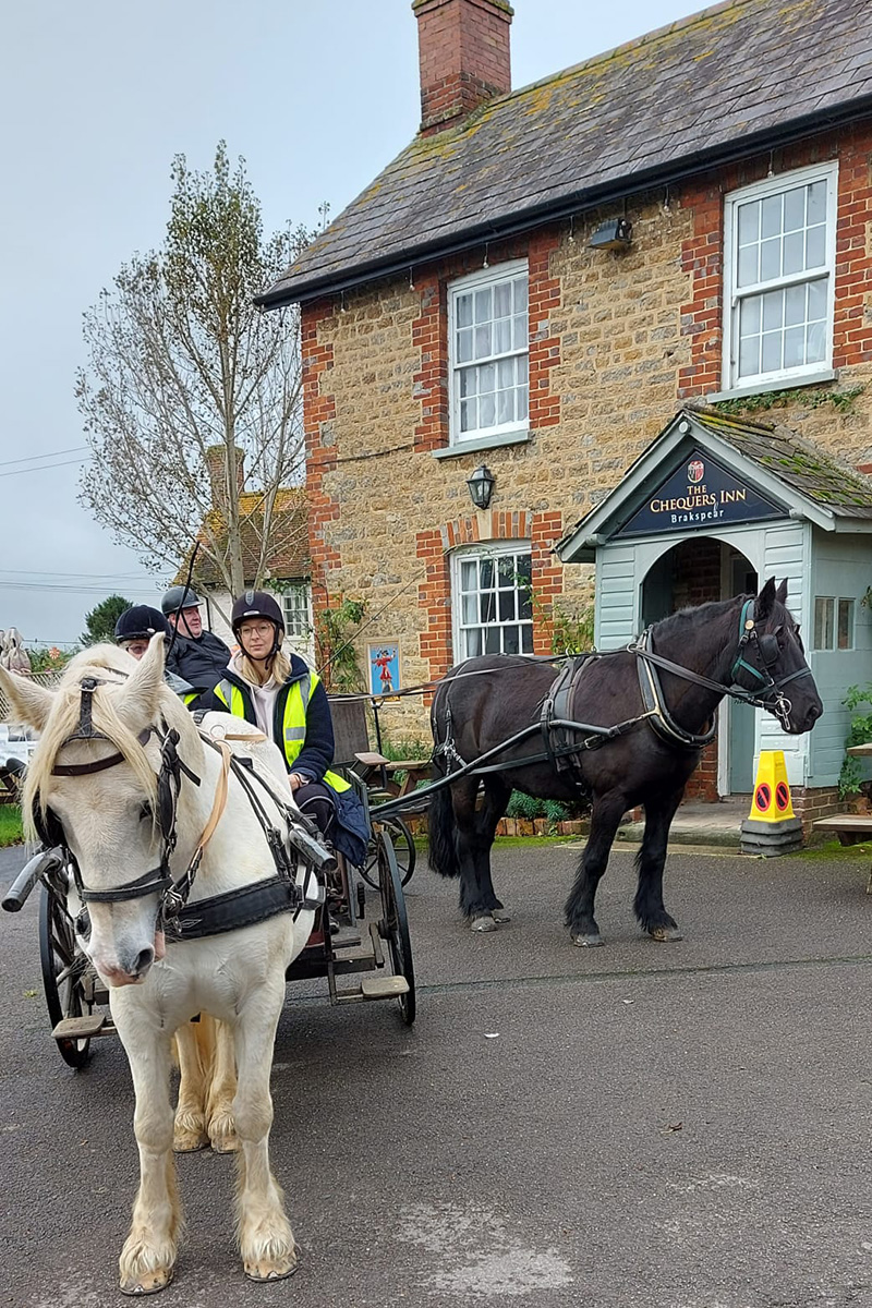 Ponies outside pub
