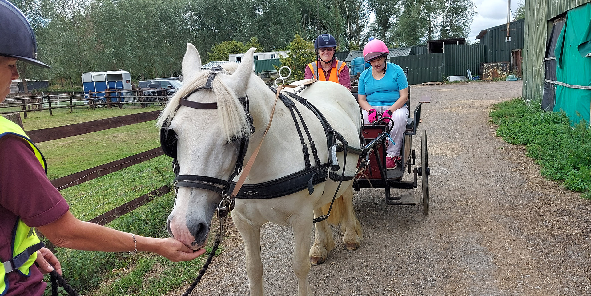 Lady and participant